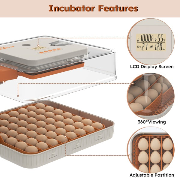 56 Egg Digital Incubator w/ Auto Turn, Humidity Control & Egg Candler View