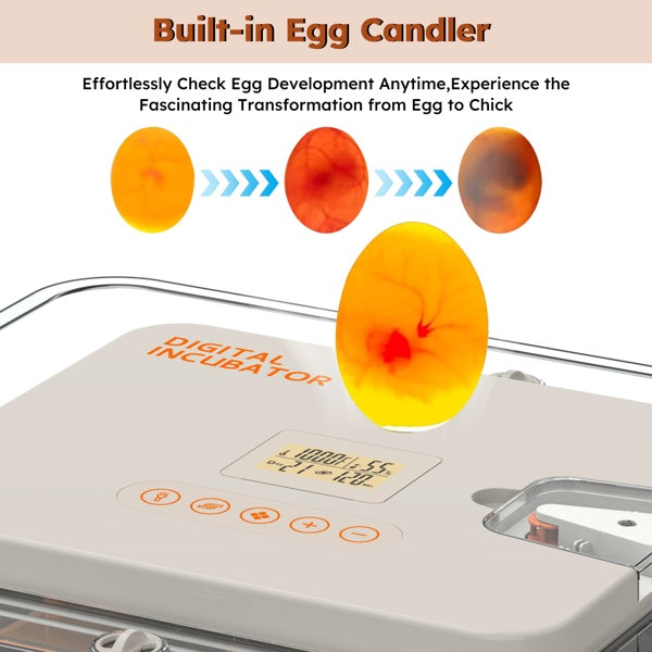56 Egg Digital Incubator w/ Auto Turn, Humidity Control & Egg Candler View