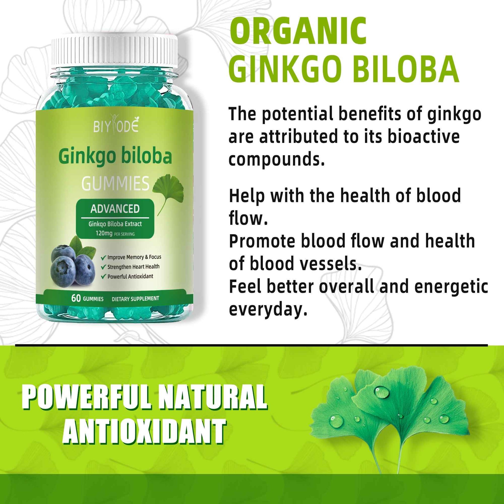 Ginkgo Biloba Gummies for Adults with 120mg Extract per Serving – 60 Gummies