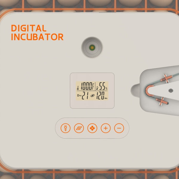 56 Egg Digital Incubator w/ Auto Turn, Humidity Control & Egg Candler View