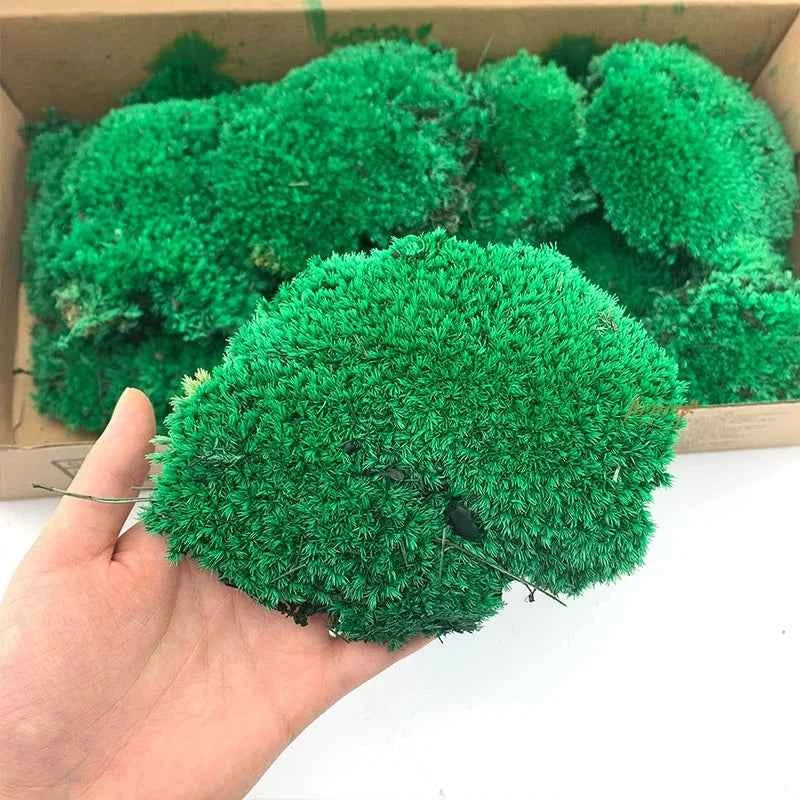 Self-Adhesive Moss Wall Decor - Eco-Friendly Preserved Pole Moss Panel for Interior Home Decor and Diwali