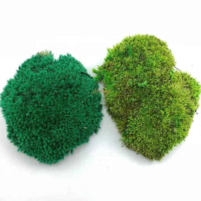 Self-Adhesive Moss Wall Decor - Eco-Friendly Preserved Pole Moss Panel for Interior Home Decor and Diwali