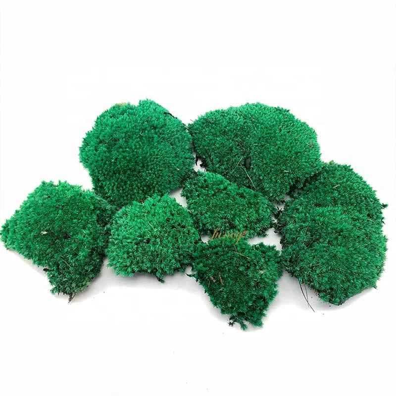 Self-Adhesive Moss Wall Decor - Eco-Friendly Preserved Pole Moss Panel for Interior Home Decor and Diwali