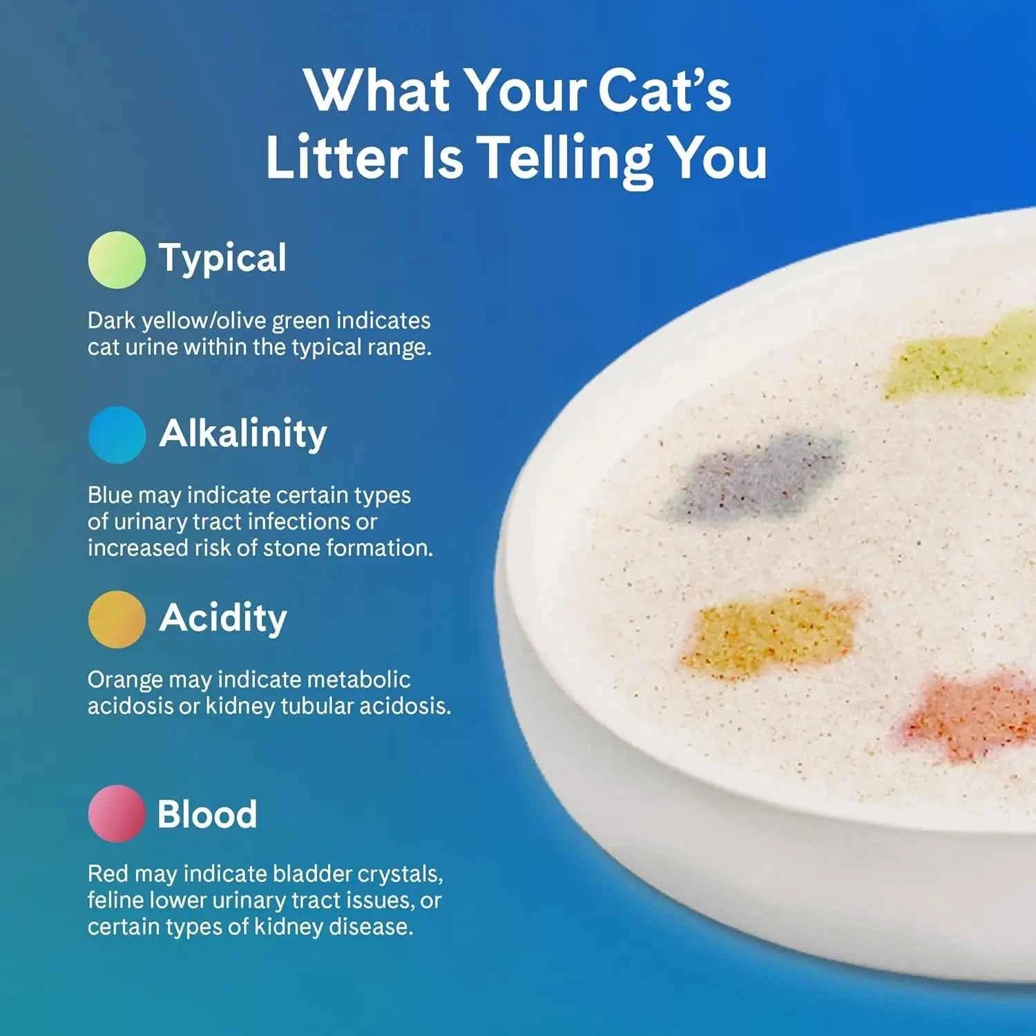 Health Monitoring Color‑Changing Silica Cat Litter — Unscented, 6 lbs (2‑Pack)