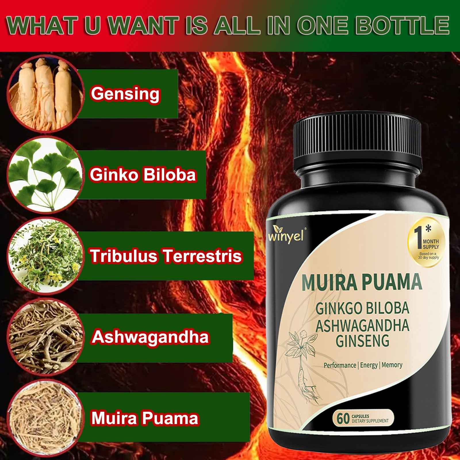 Herbal Energy & Wellness Blend – Muira Puama, Ginseng, Ashwagandha, Ginkgo & Tribulus  60 Capsules